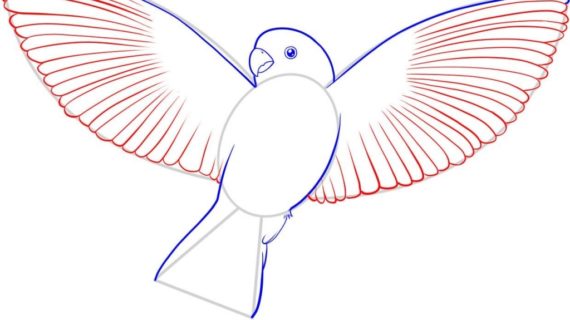 Easy Bird Drawings Simple   Bird Wallpaper