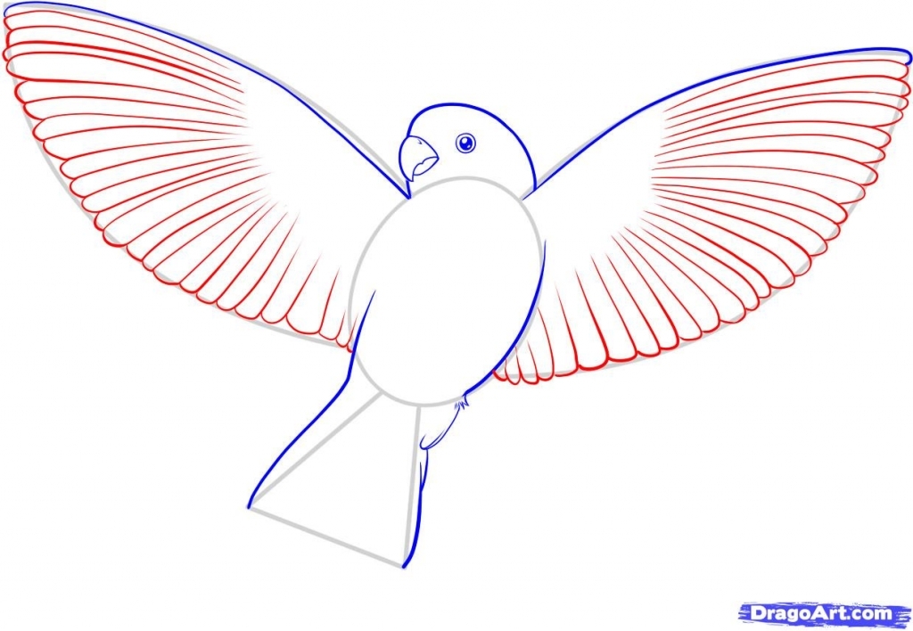 bird-drawing-simple-at-getdrawings-free-download