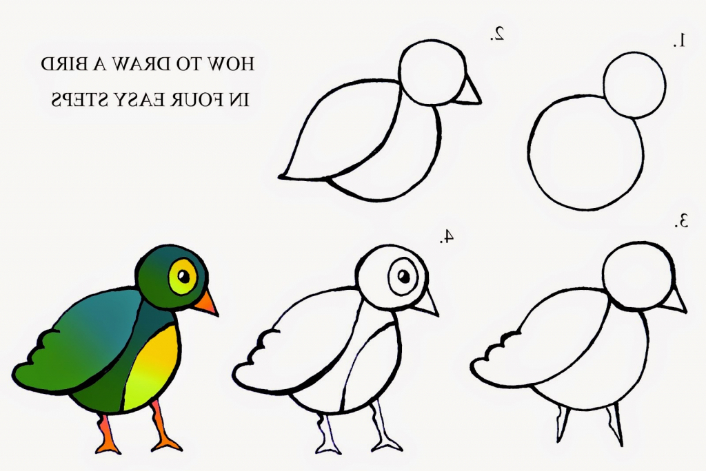 Bird Drawing Step By Step at GetDrawings | Free download