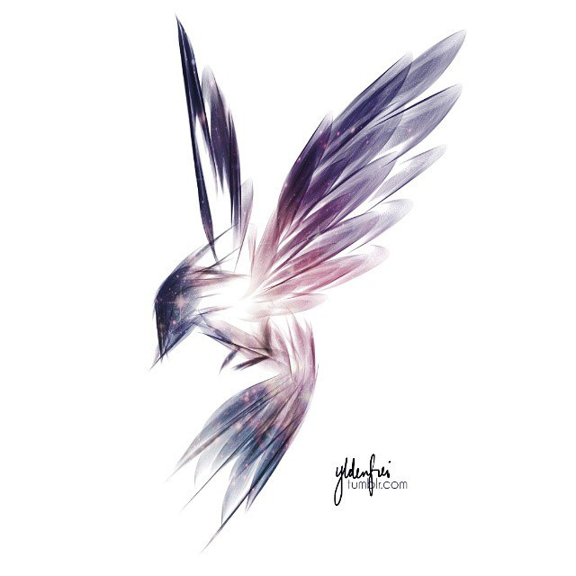 Bird Flight Drawing At Getdrawings Free Download