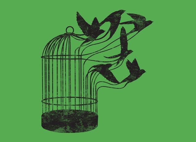 Download Realistic Caged Bird Drawing Gif