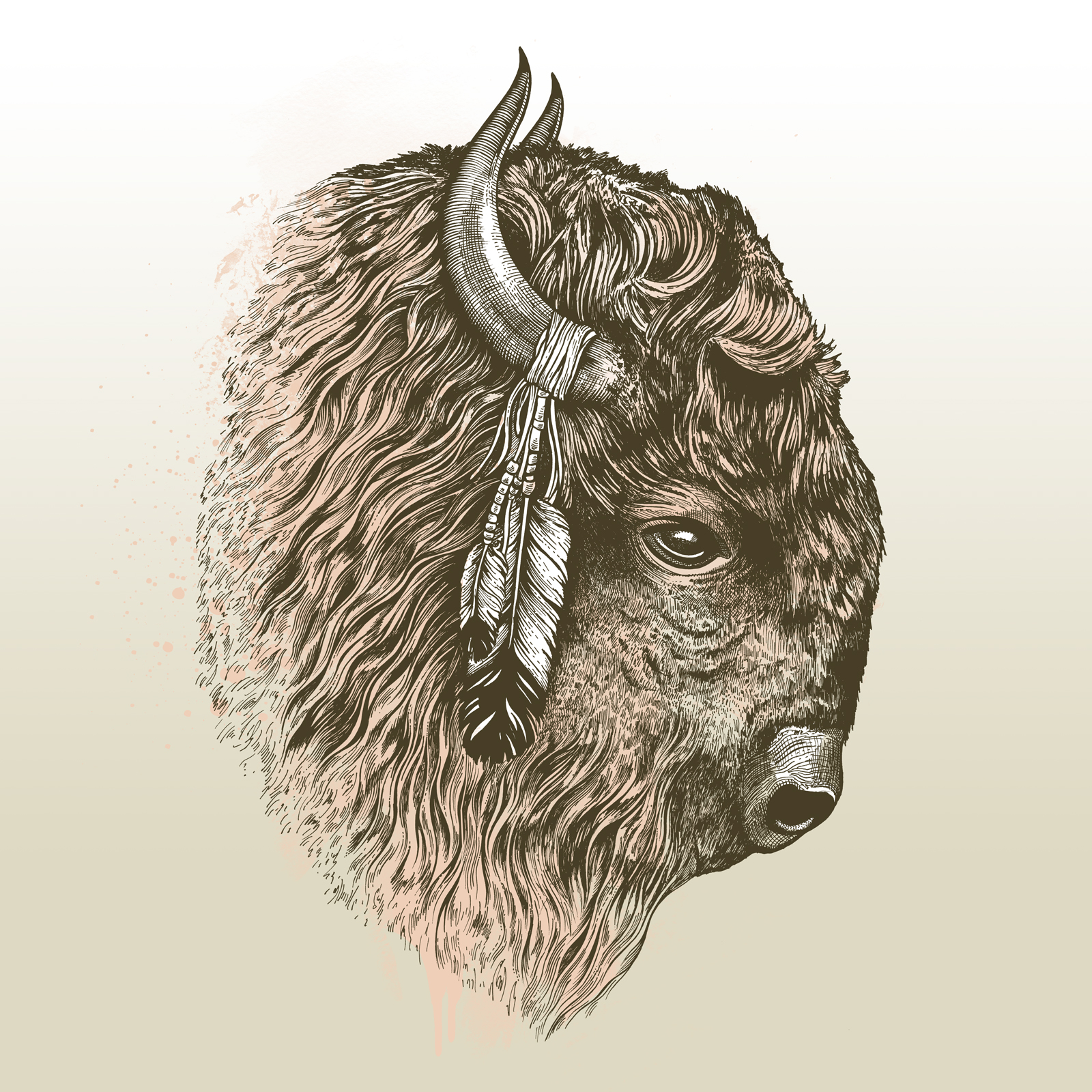 Bison Head Drawing at GetDrawings Free download