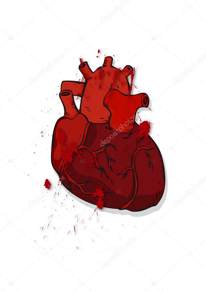 Bleeding Heart Drawing at GetDrawings | Free download