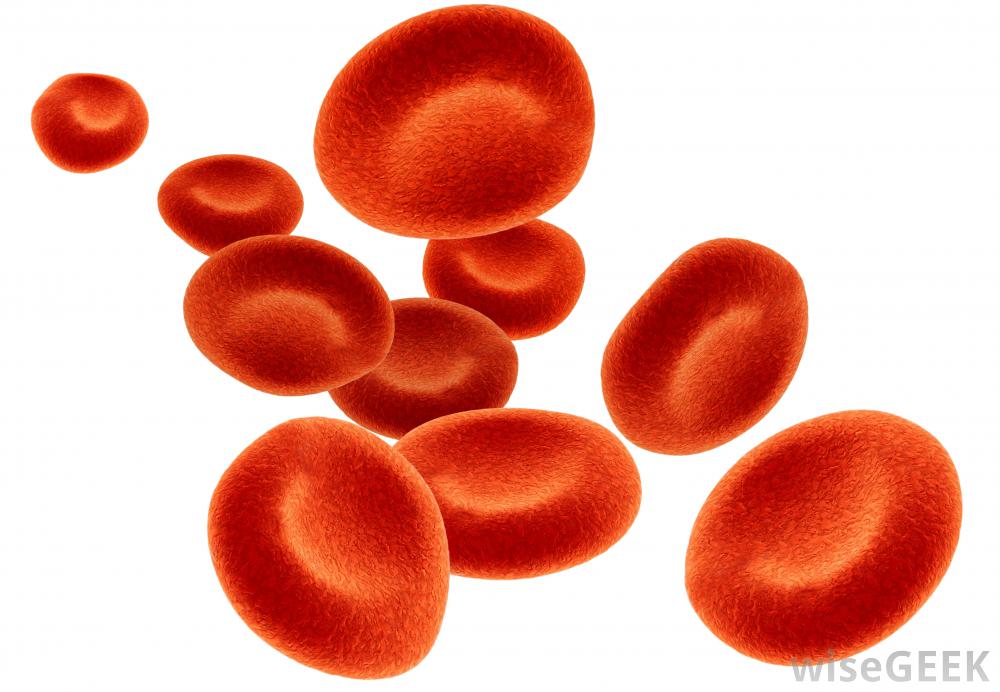 Blood Cells Drawing at GetDrawings | Free download