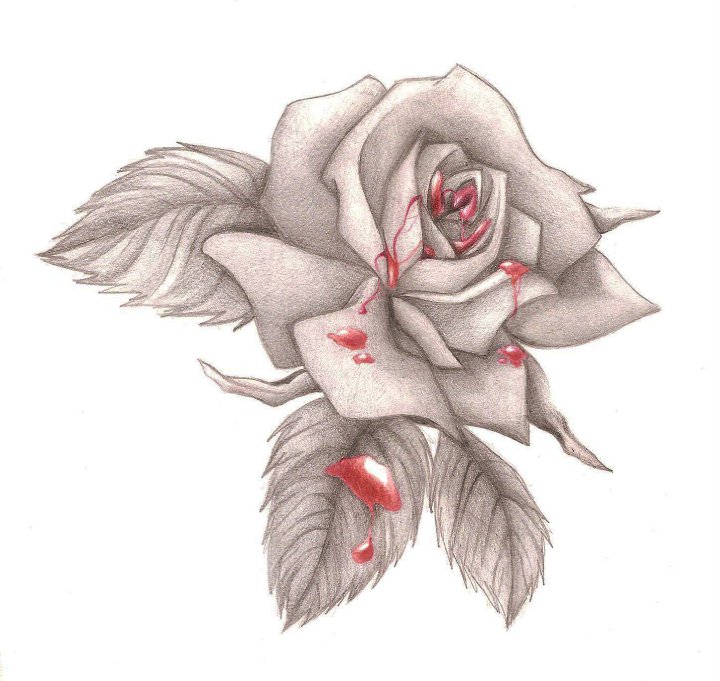 Bloody Rose Drawing at GetDrawings Free download