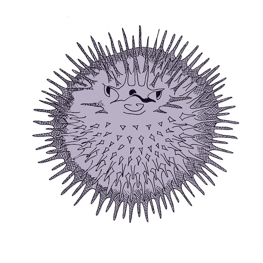 Blowfish Drawing at GetDrawings Free download