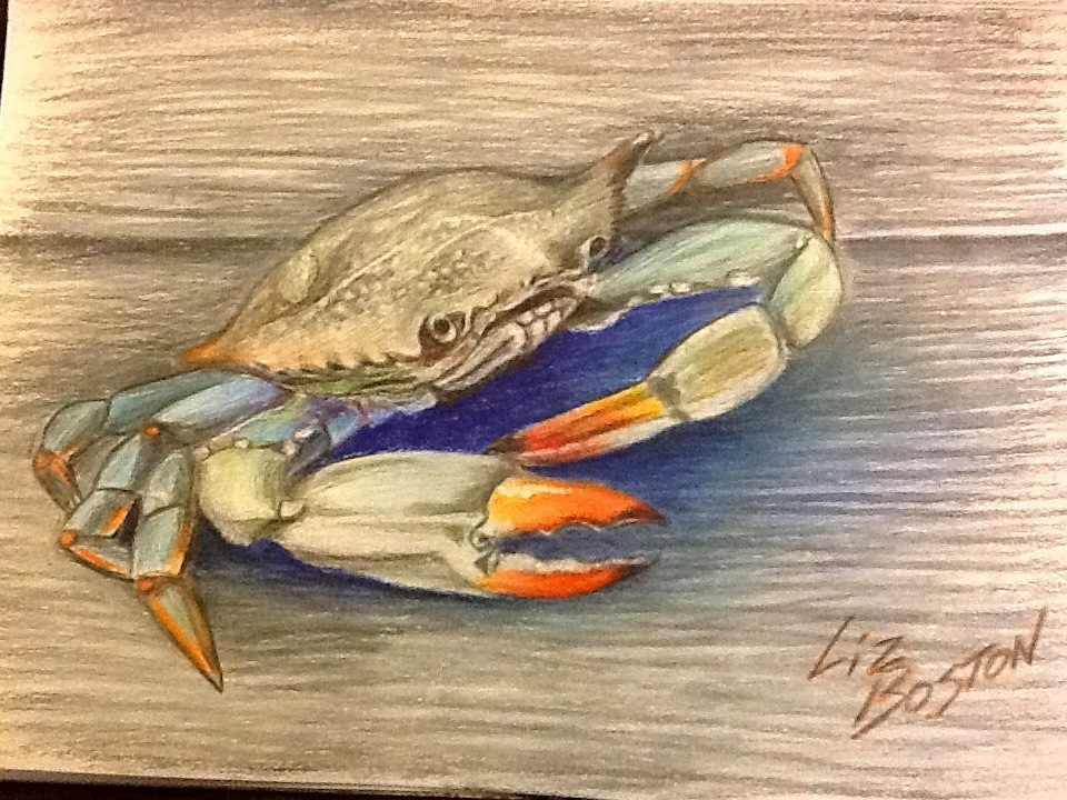 Blue Crab Drawing at GetDrawings Free download