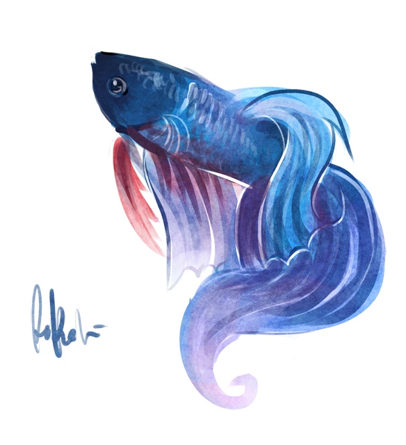 Blue Fish Drawing at GetDrawings Free download