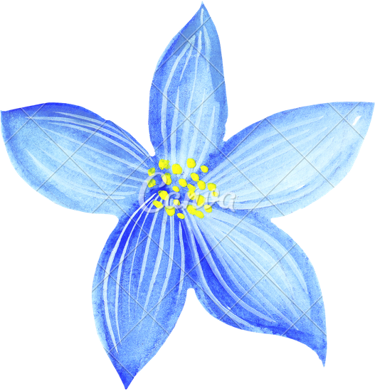 Blue Flowers Drawing at GetDrawings Free download
