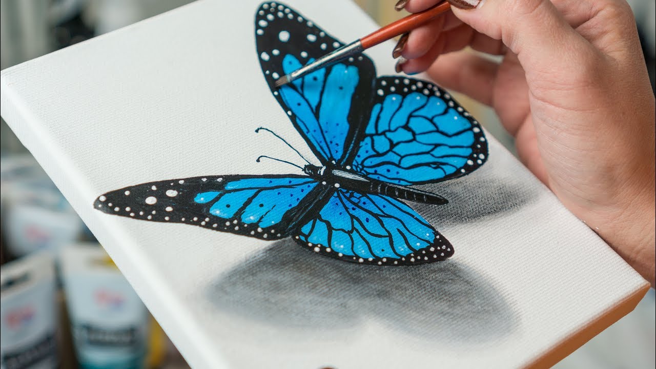blue butterfly sketch
