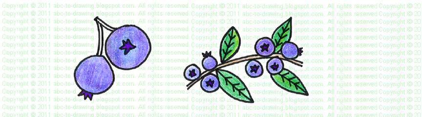 Blueberry Bush Drawing At Getdrawings Free Download