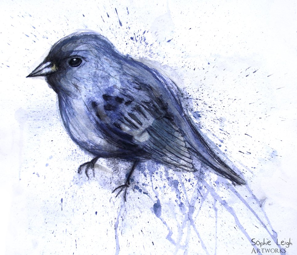 Bluebird Drawing at GetDrawings | Free download