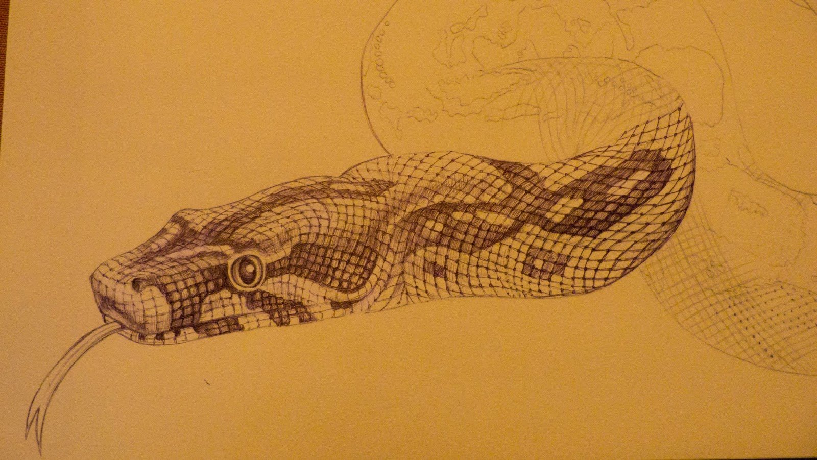black and white boa constrictor drawing