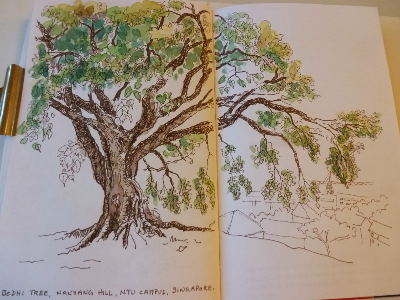 Bodhi Tree Drawing at GetDrawings Free download