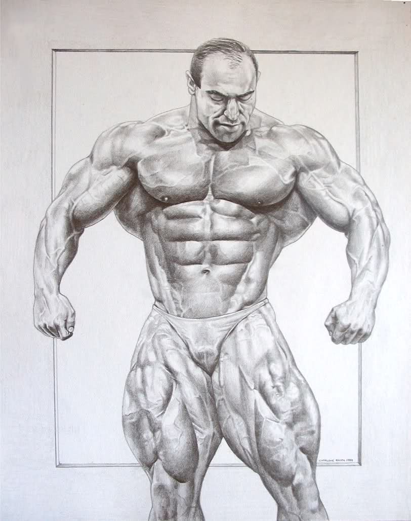 Body Builder Drawing at GetDrawings Free download The best free bodybuildin...