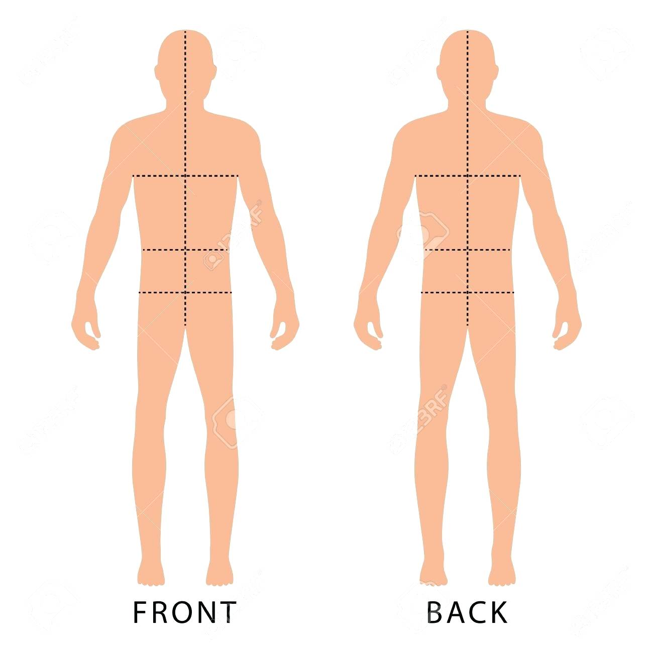 body-template-drawing-at-getdrawings-free-download