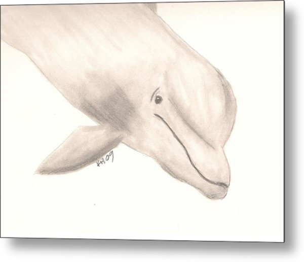 Bottlenose Dolphin Drawing at GetDrawings Free download