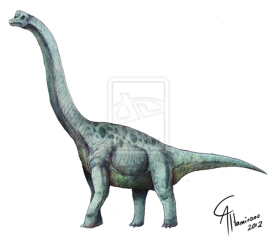 Brachiosaurus Drawing at GetDrawings | Free download