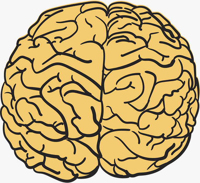 Brain Cartoon Drawing at GetDrawings | Free download