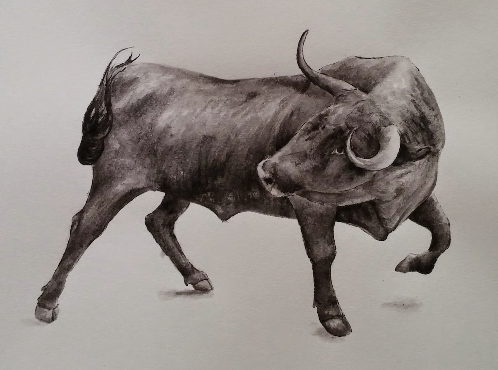 Bull Drawing at GetDrawings Free download