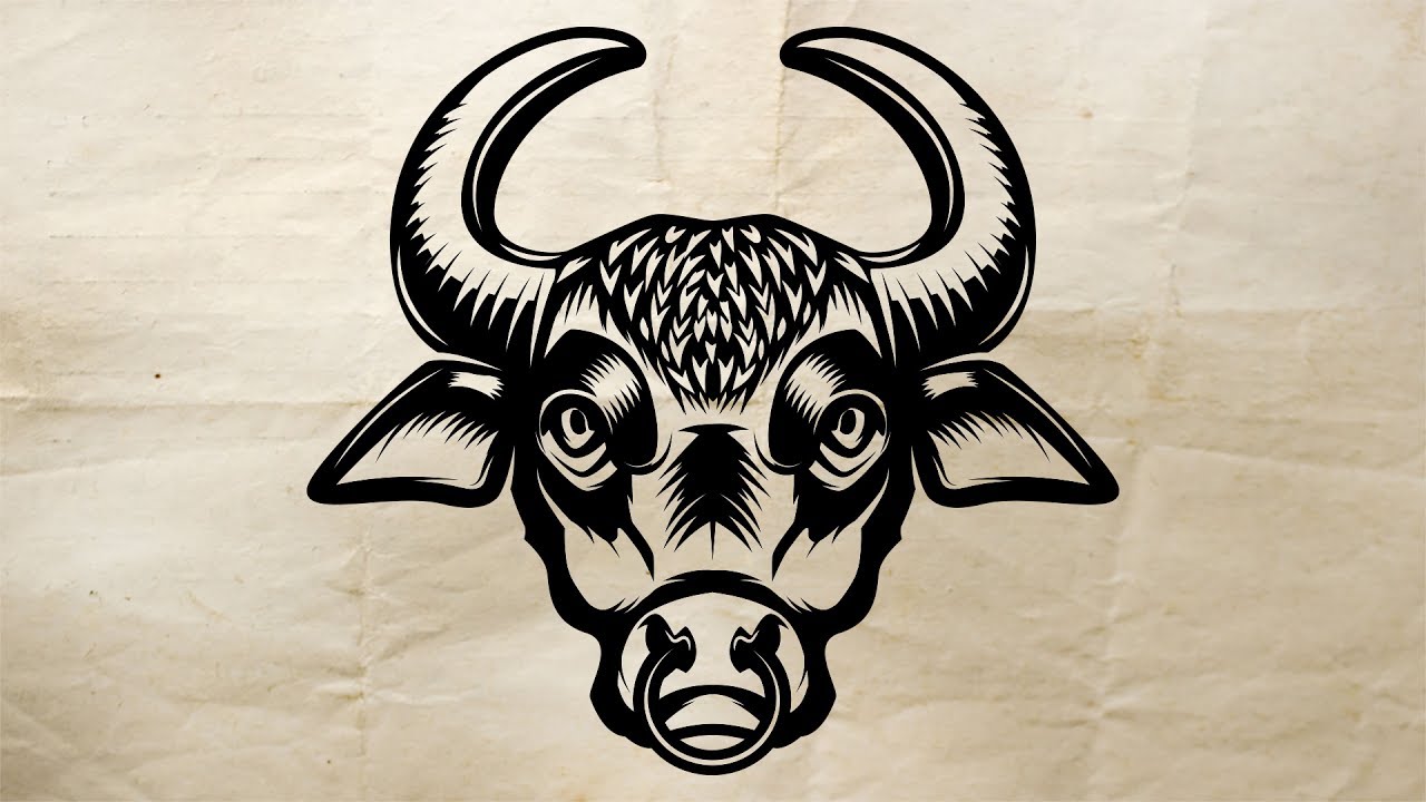 Bull Head Drawing at GetDrawings | Free download