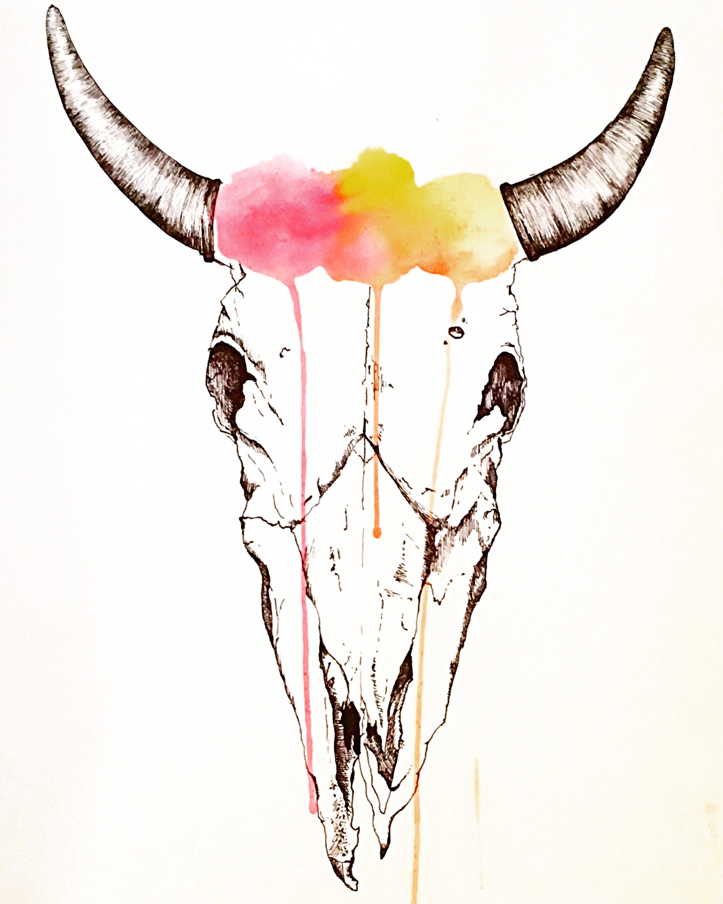 Bull Horns Drawing at GetDrawings Free download