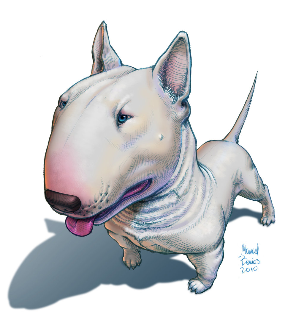 Bull Terrier Drawing at GetDrawings Free download