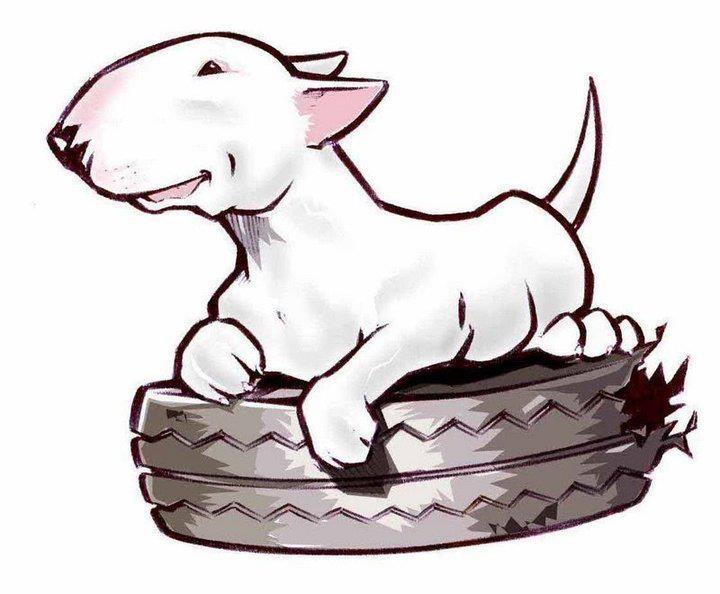 Bull Terrier Drawing at GetDrawings Free download