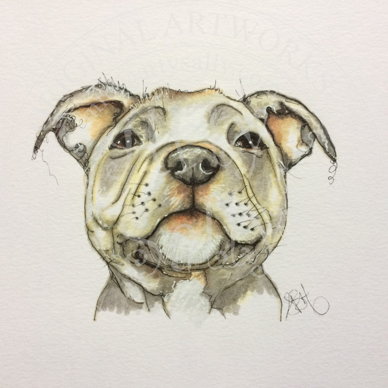 Bull Terrier Drawing at GetDrawings | Free download