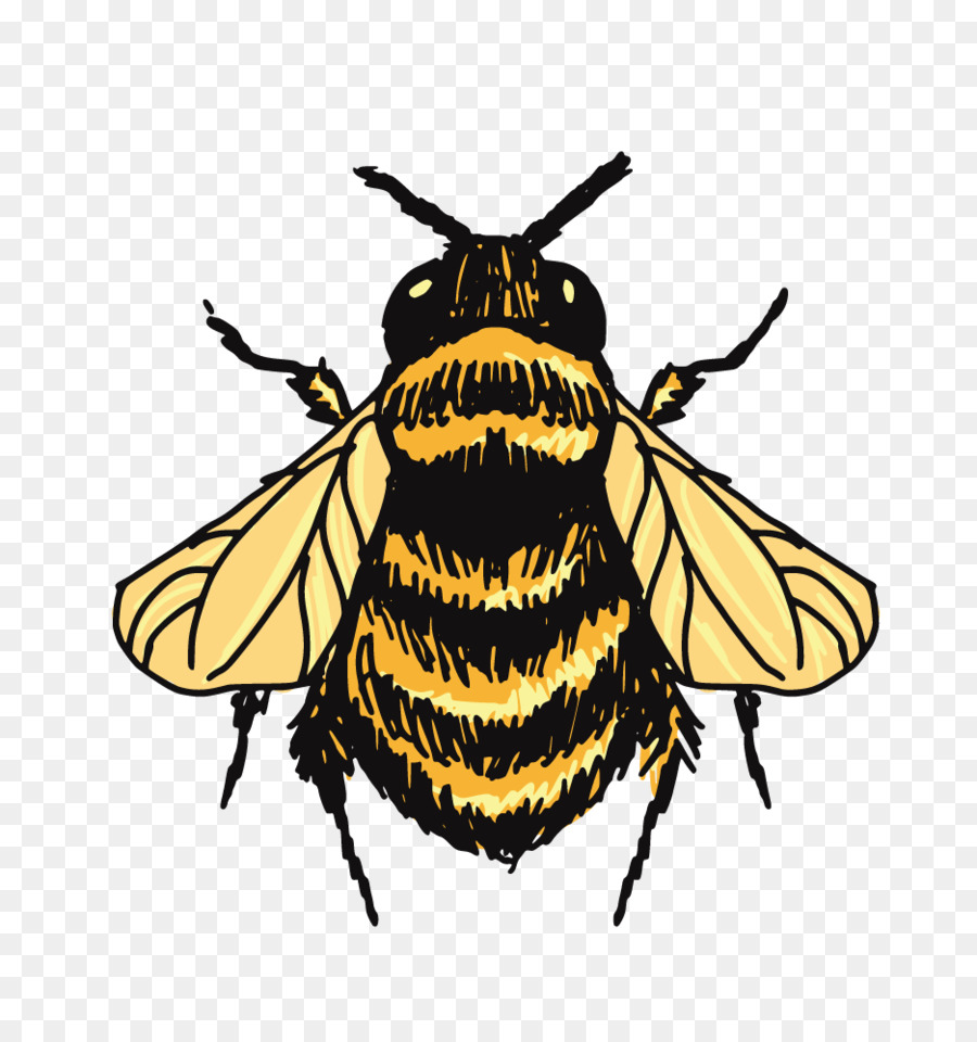 bumble bee drawing