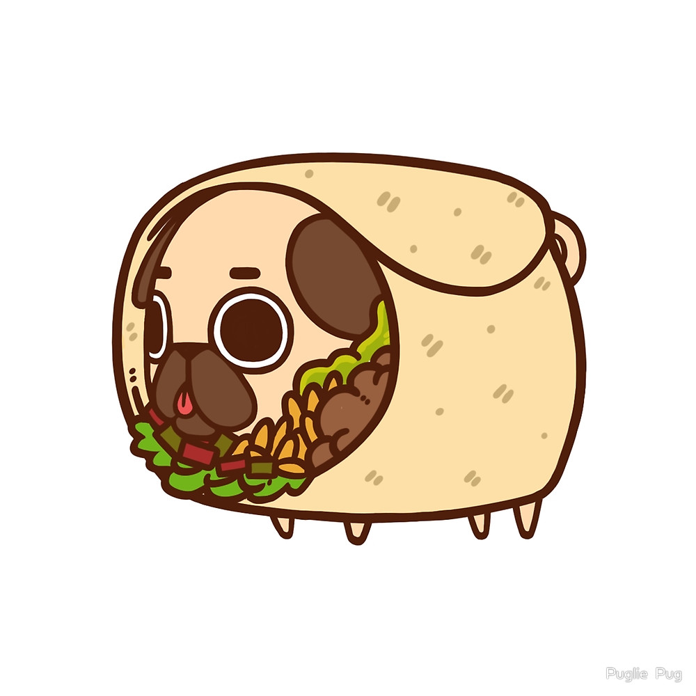 Burrito Drawing at GetDrawings | Free download