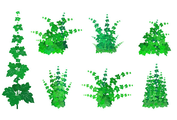 Bushes Drawing at GetDrawings | Free download