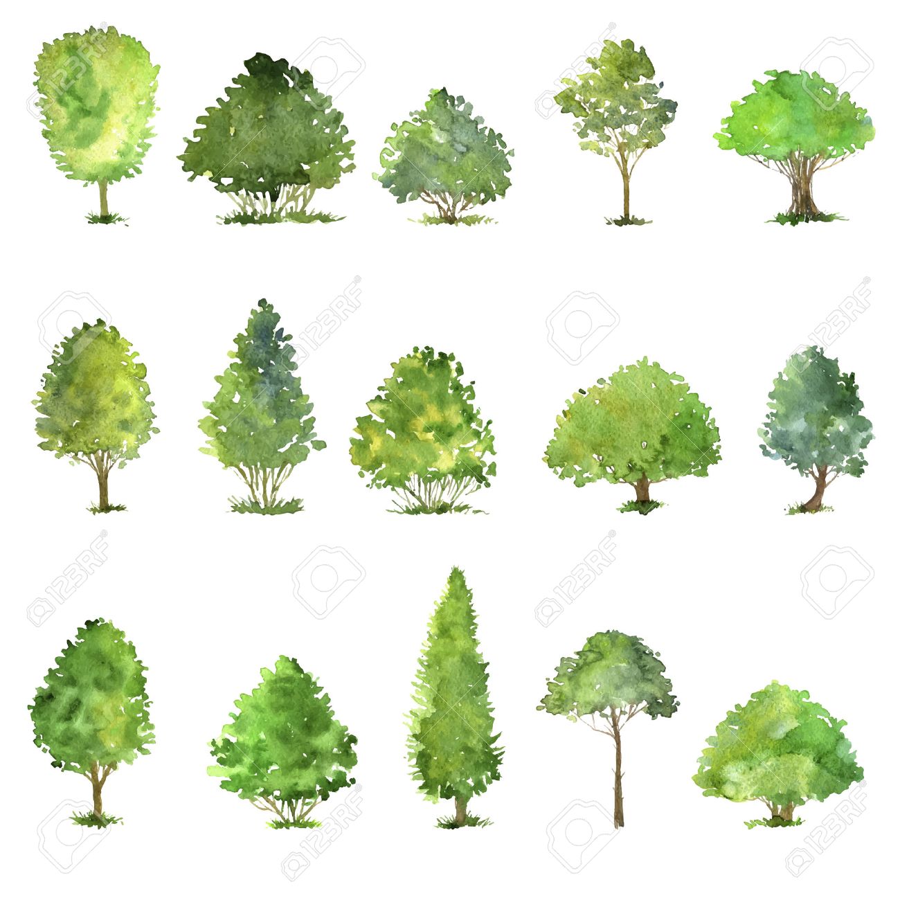 Bushes Drawing at GetDrawings | Free download