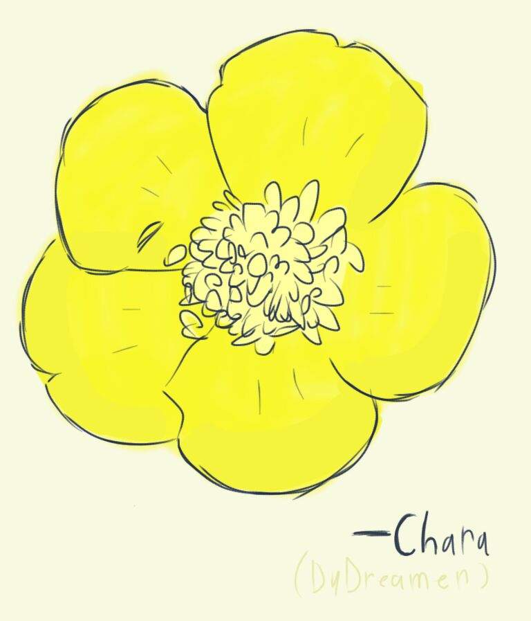 Buttercup Flower Drawing at GetDrawings | Free download