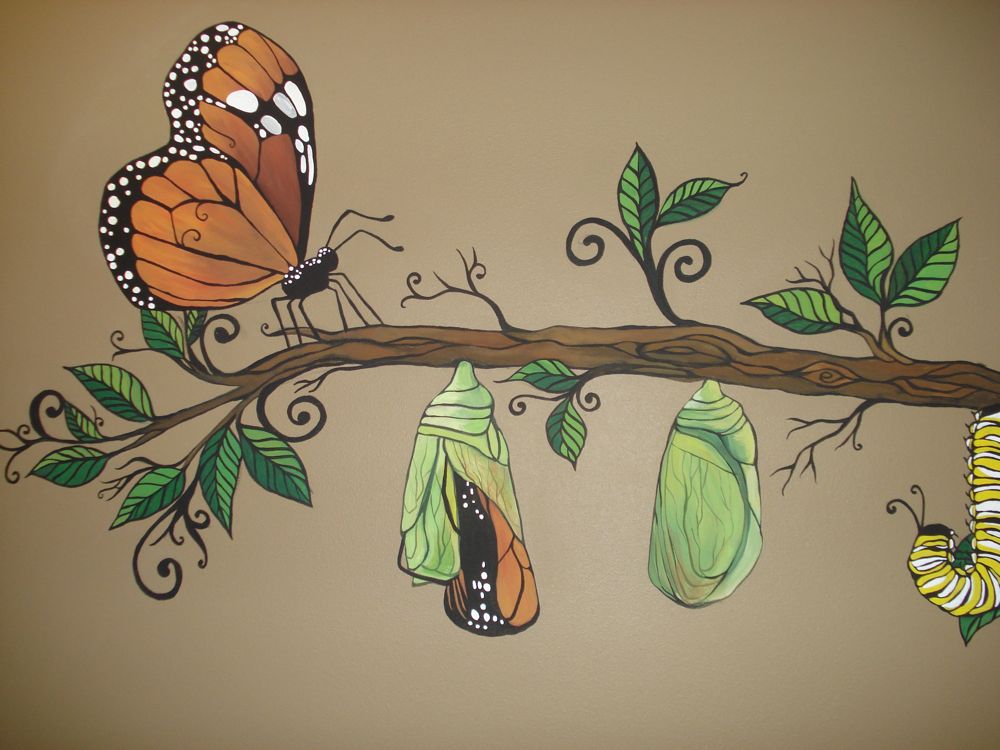 Butterfly Cocoon Drawing at GetDrawings Free download