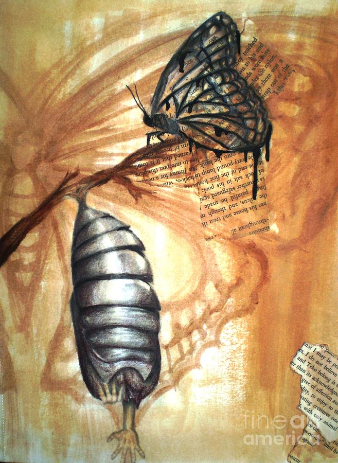 Butterfly Cocoon Drawing at GetDrawings Free download