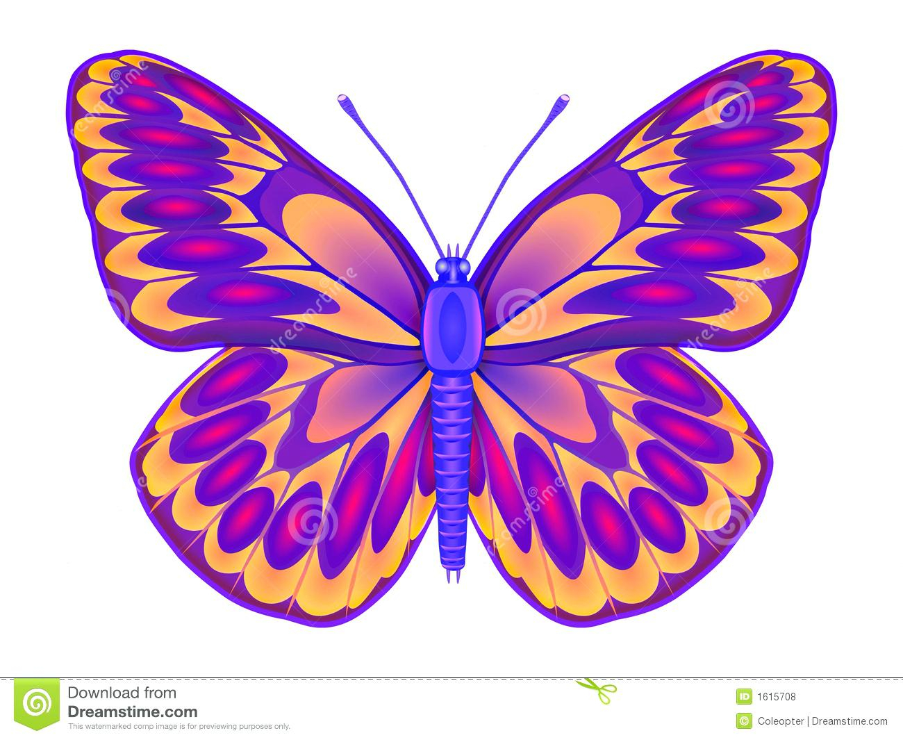 Butterfly Drawing Color at GetDrawings | Free download