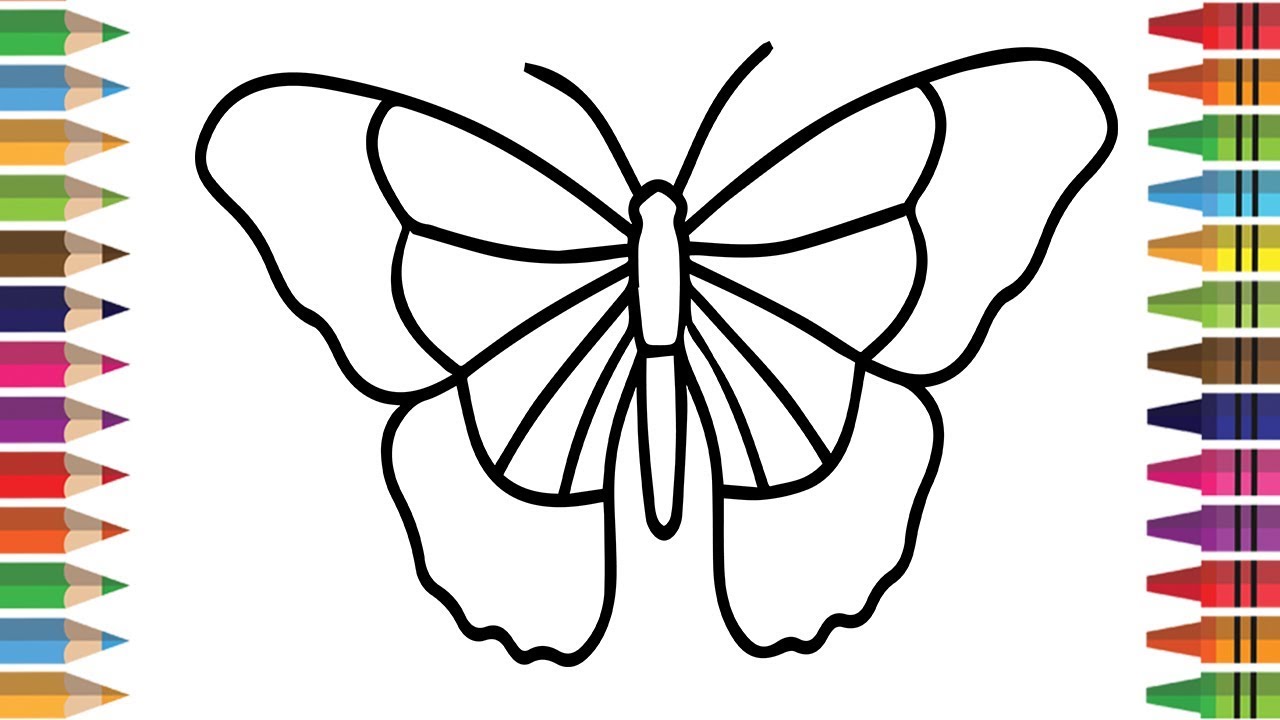 kids butterfly sketch