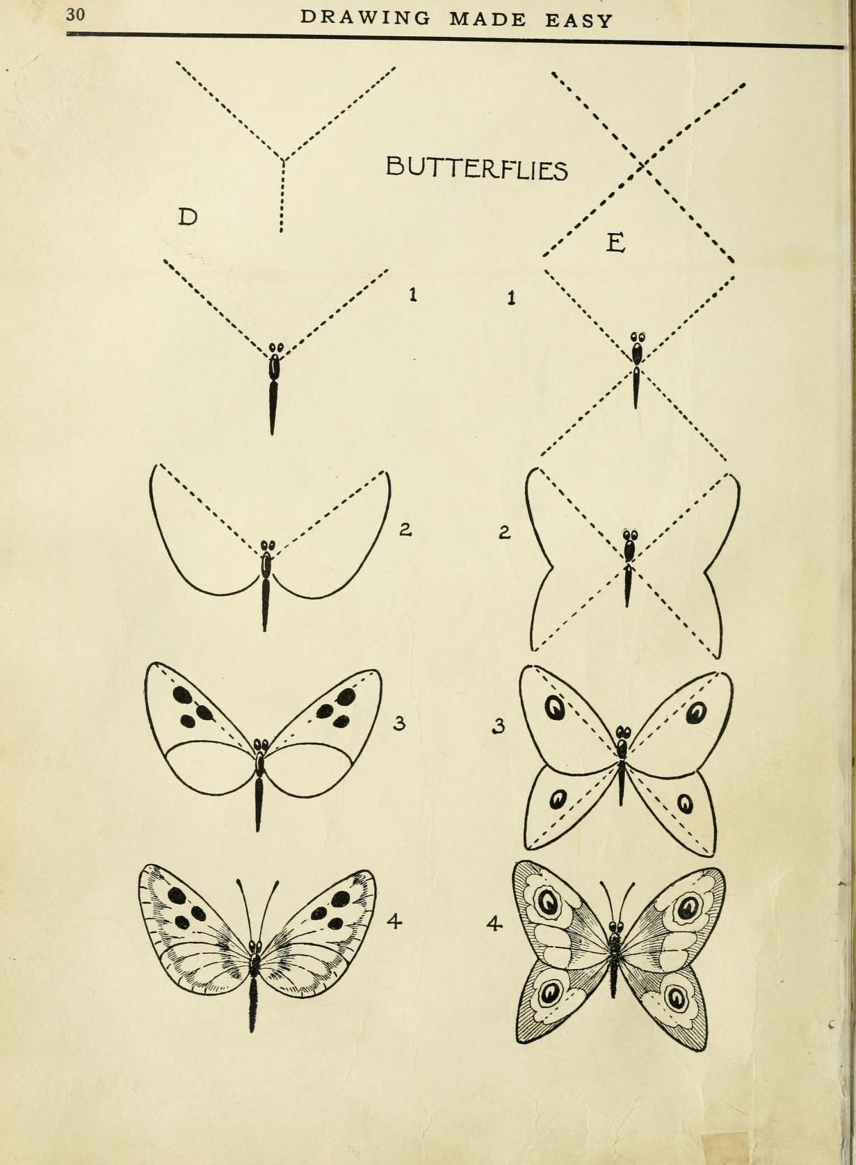 Como Dibujar Una Mariposa How To Draw Butterfly My Xxx Hot Girl 7784