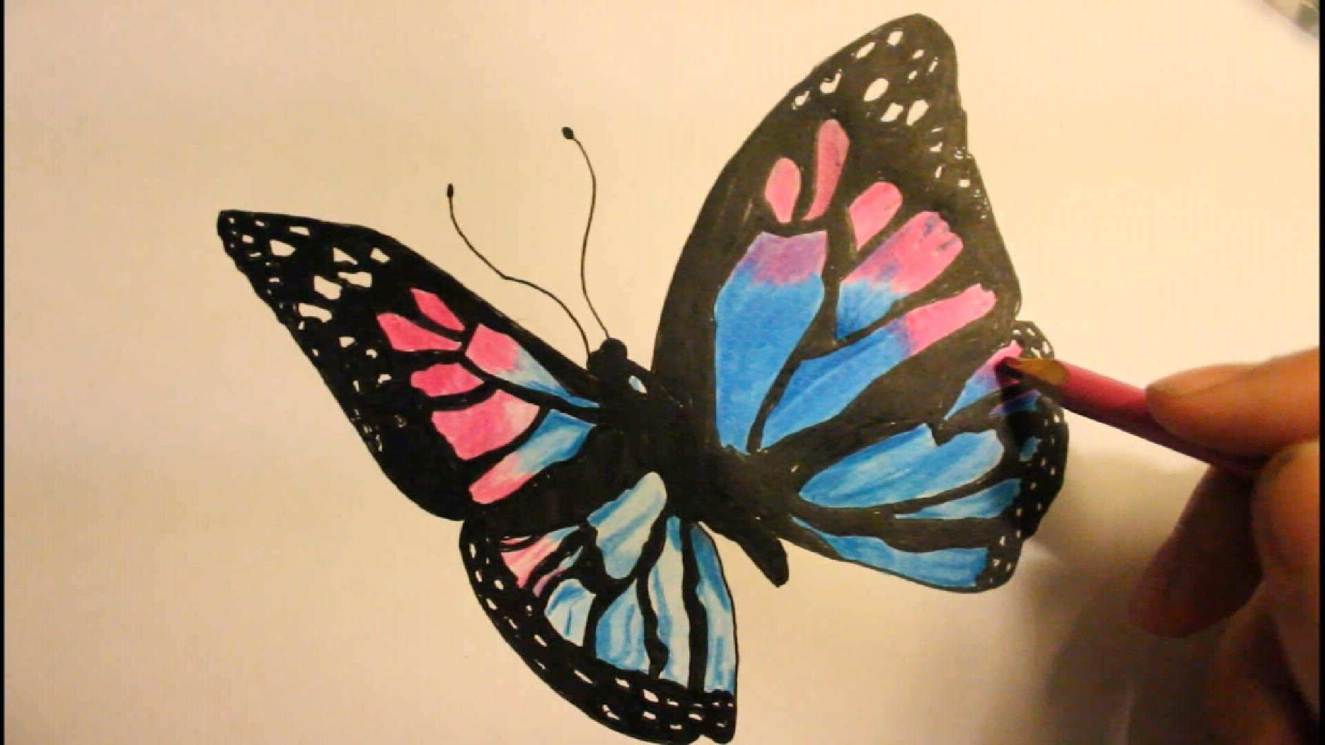 colorful butterfly sketch easy