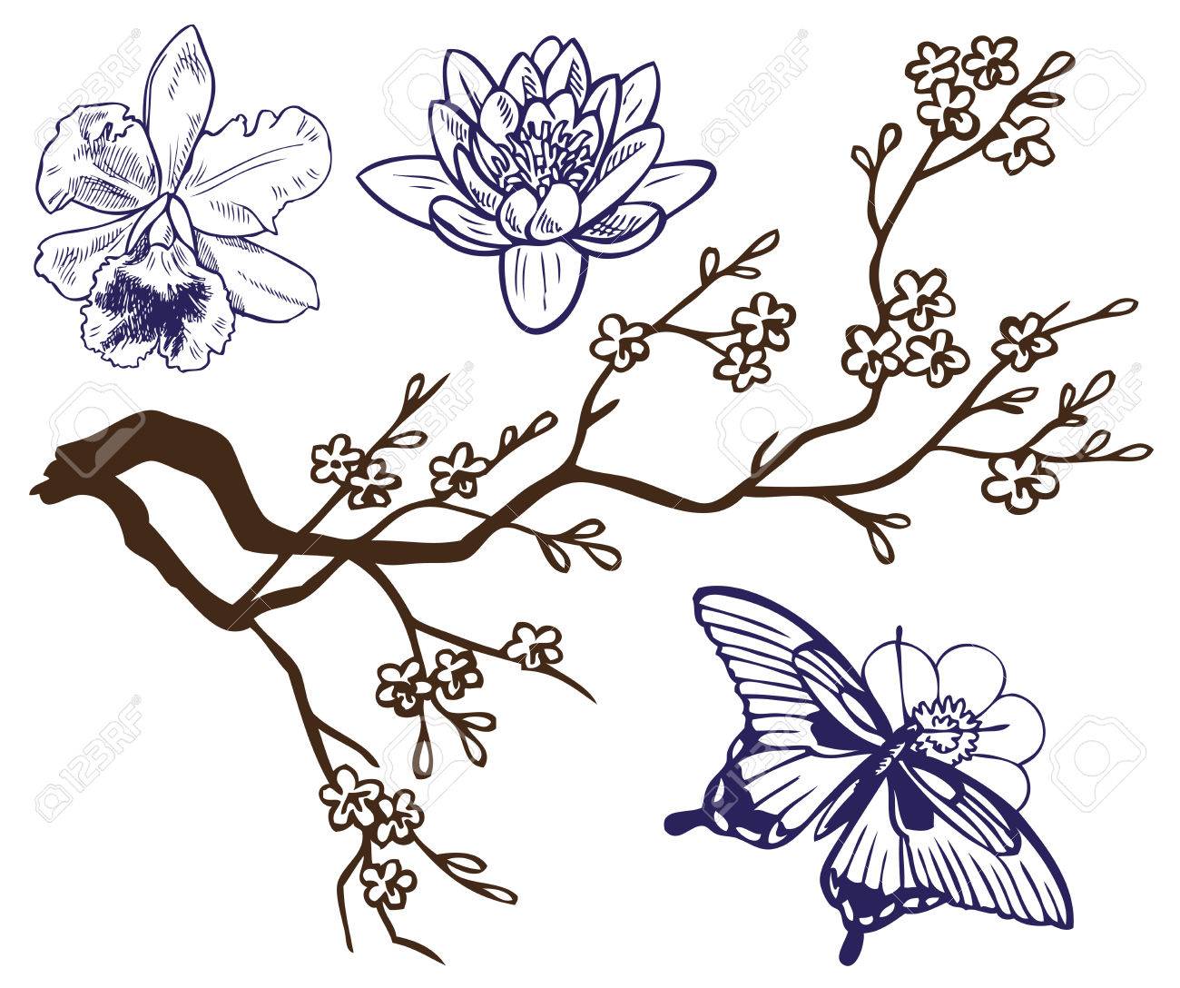 Butterfly Flower Drawing at GetDrawings | Free download