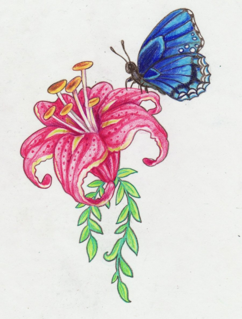 Butterfly On Flower Drawing at GetDrawings | Free download