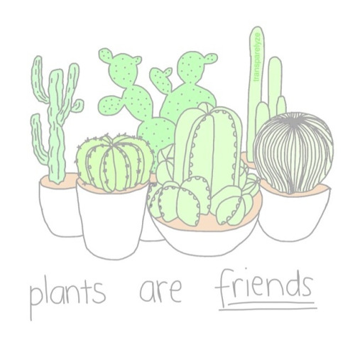 Cactus Tumblr Drawing at GetDrawings | Free download