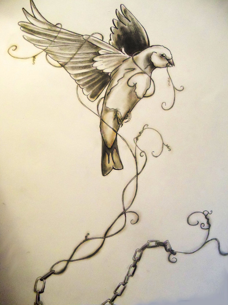 Caged Bird Drawing at GetDrawings Free download