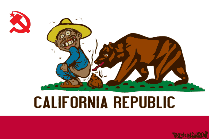 720x480 California's New Flag River Daves Place.