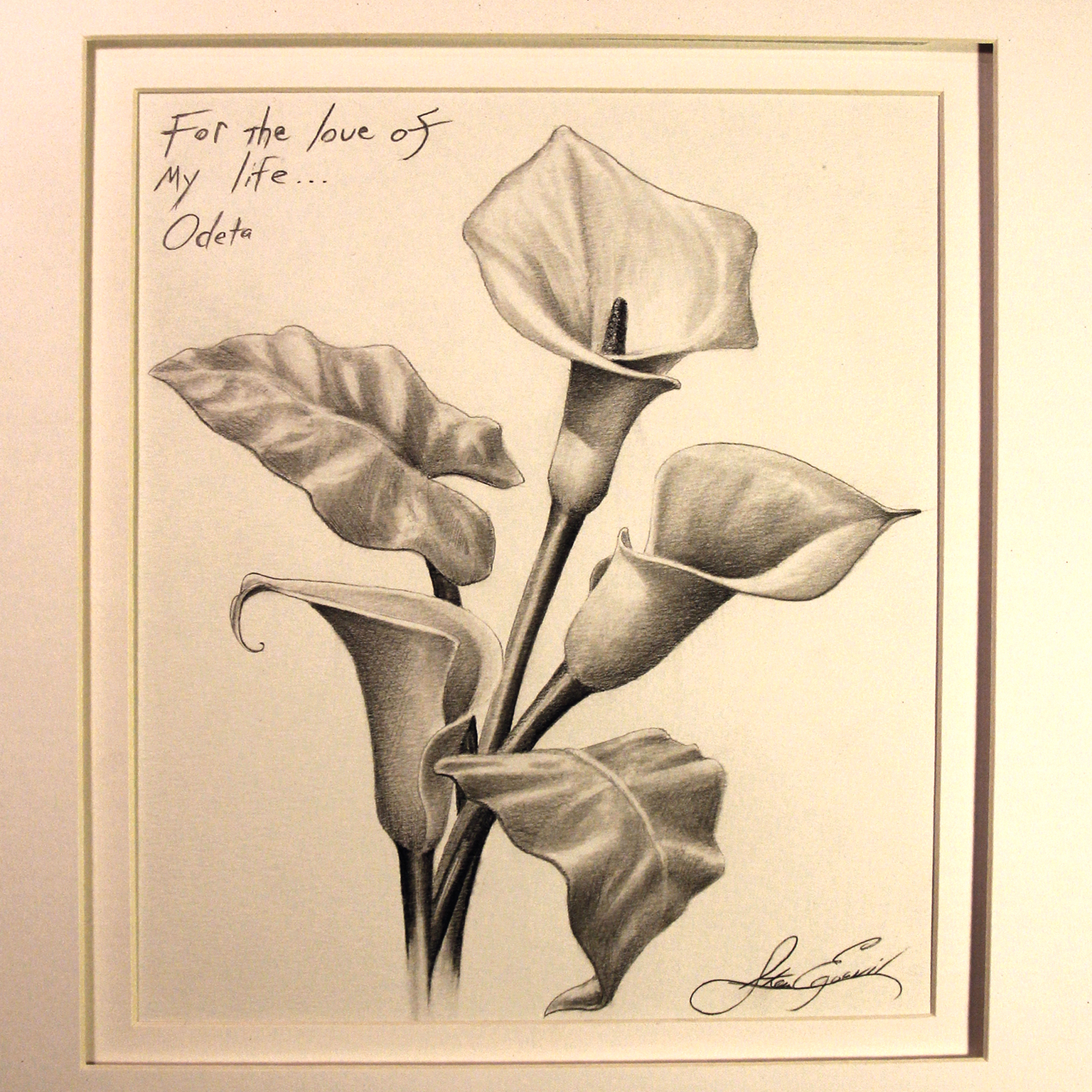 Calla Lily Flower Drawing at GetDrawings Free download