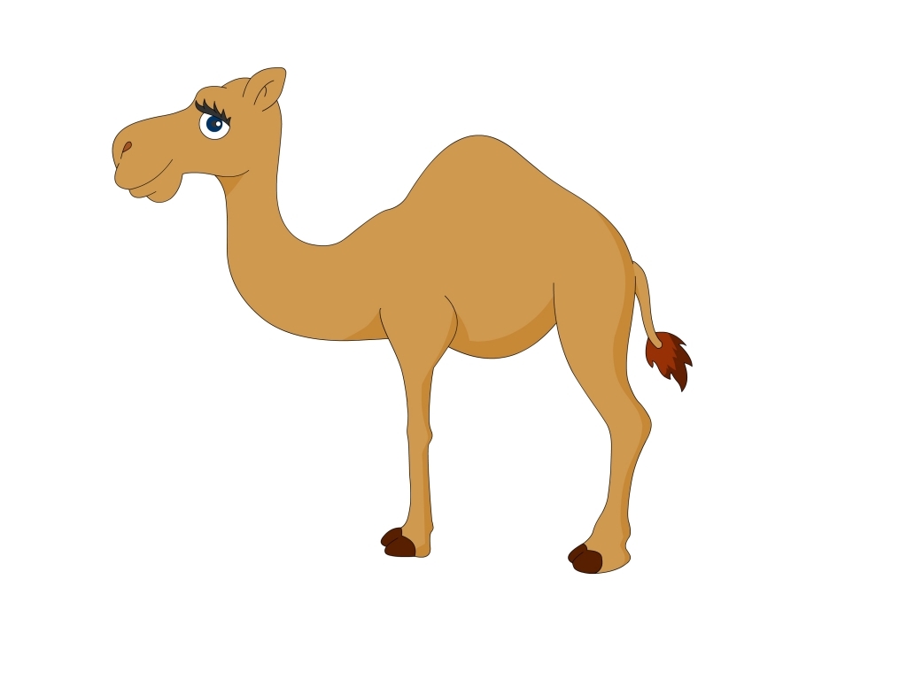 Camel Cartoon Drawing at GetDrawings Free download