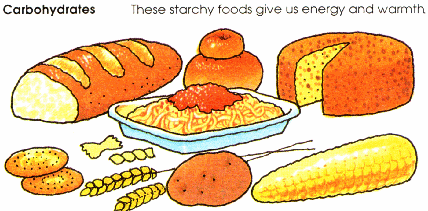 Carbohydrate Drawing at GetDrawings Free download