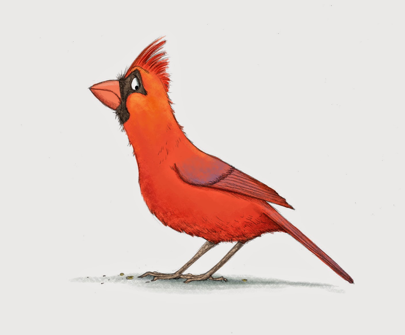 Cardinal Bird Drawing at GetDrawings Free download