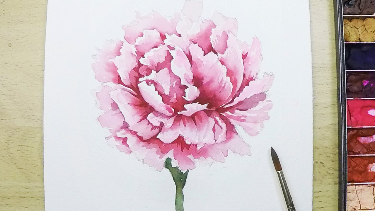 Carnations Drawing at GetDrawings | Free download